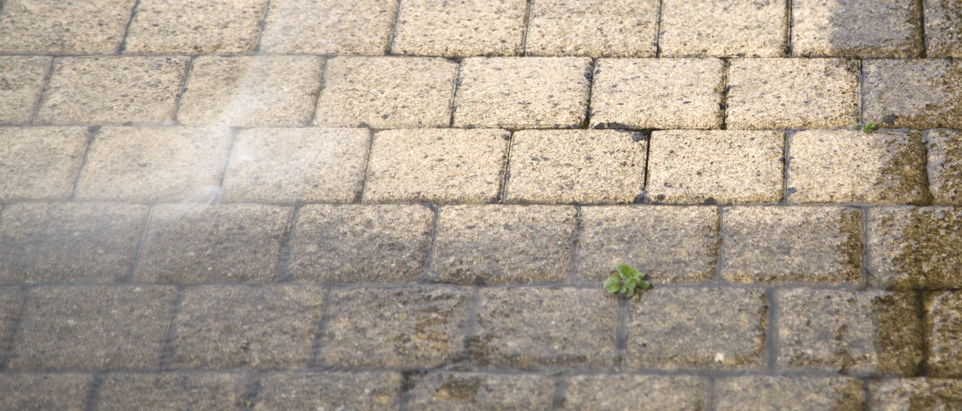 flagging and patios SE3