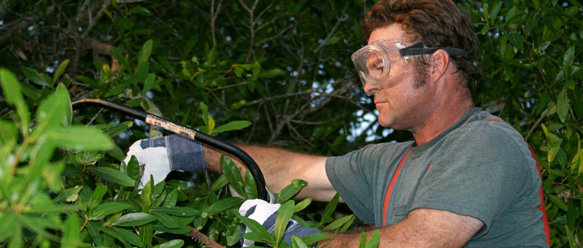 garden clearance SE3